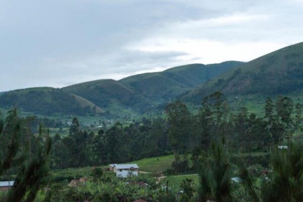 Land dispute in Rukiga unveils layers of injustice and resilience for elderly family